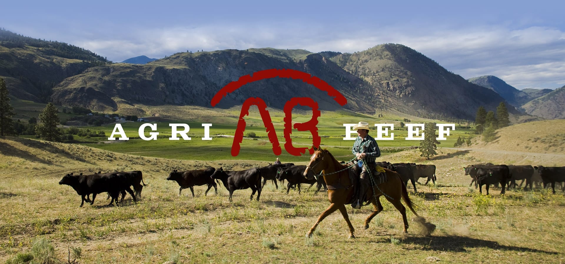 Agri Beef Case Study: Office 365 for Enterprise