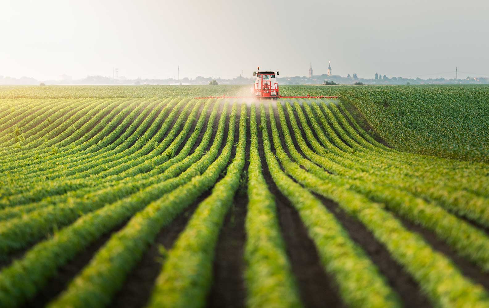 Trucks Gotta Ship, Protecting the Produce Industry from Cybercrime