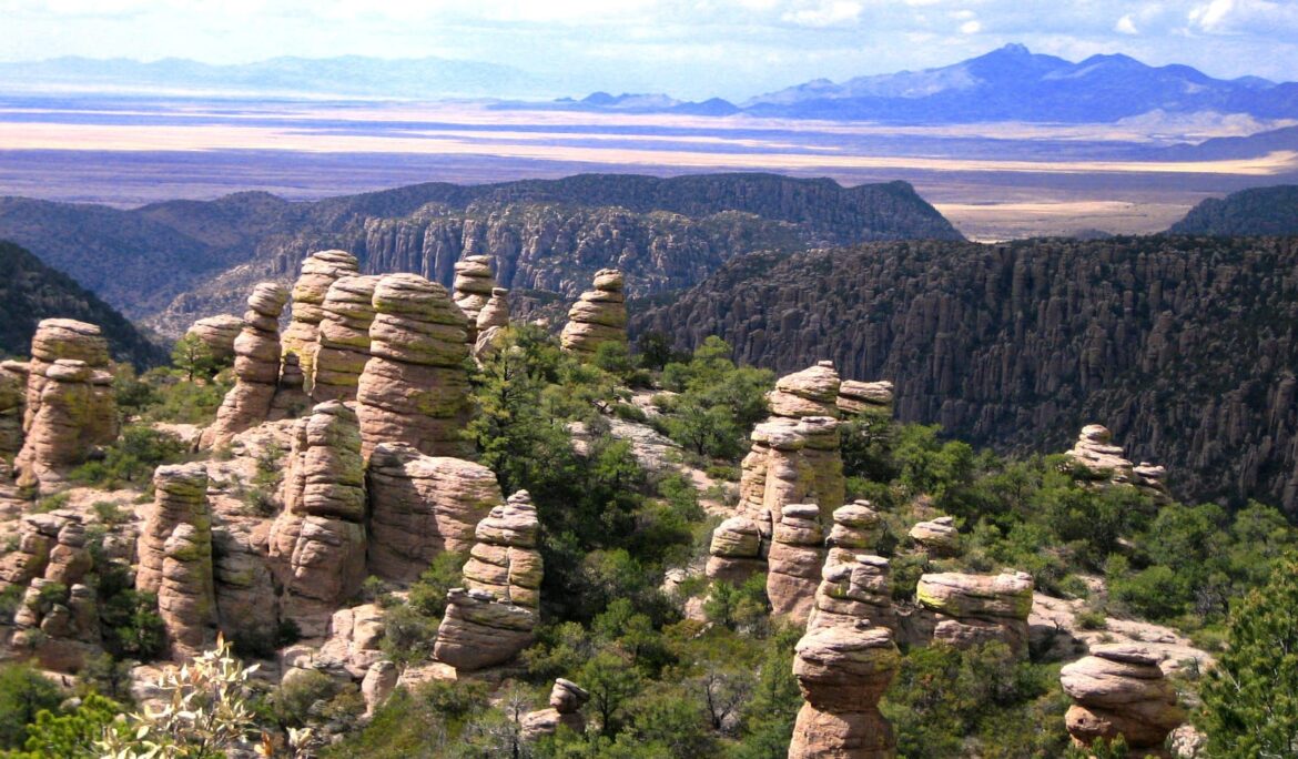 Improving collaboration in the Sky Island region of Arizona & Mexico