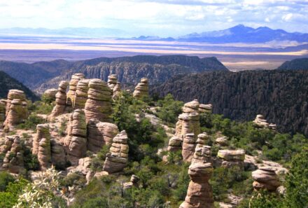 Improving collaboration in the Sky Island region of Arizona & Mexico