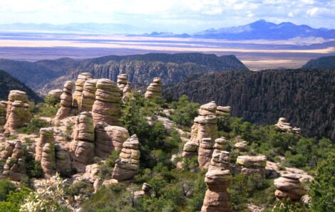Improving collaboration in the Sky Island region of Arizona & Mexico
