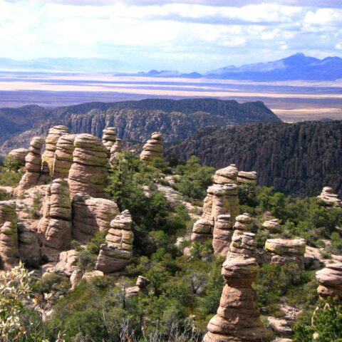 Improving collaboration in the Sky Island region of Arizona & Mexico