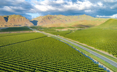 The Produce News: The Ins and Outs of Protecting Our Food Supply Chain