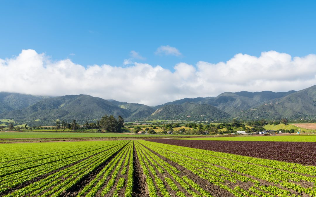 Big Data and the Agricultural Industry: The Future of Farming