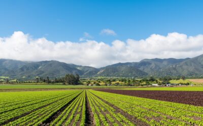 Big Data and the Agricultural Industry: The Future of Farming