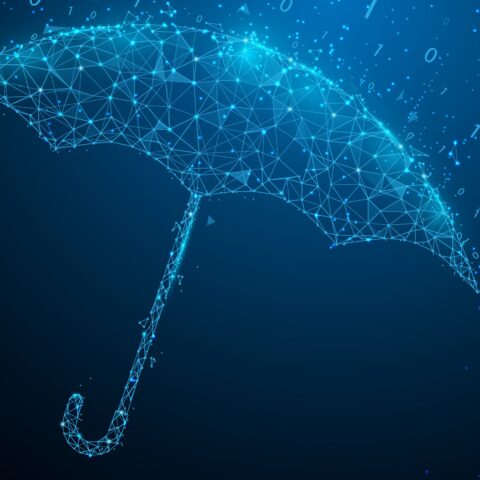 Cyber Insurance: What You Should Know