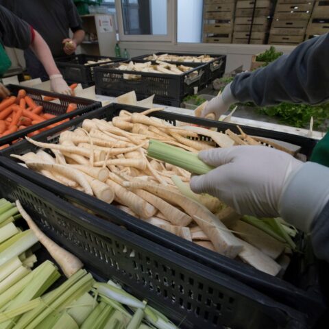 Risk Assessment in the Supply Chain: Why It Matters, Part 1