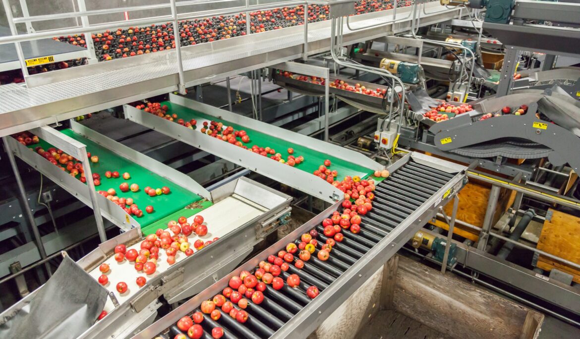 ZAG a Top 20 Vertical MSP, Leads Food & Beverage Segment