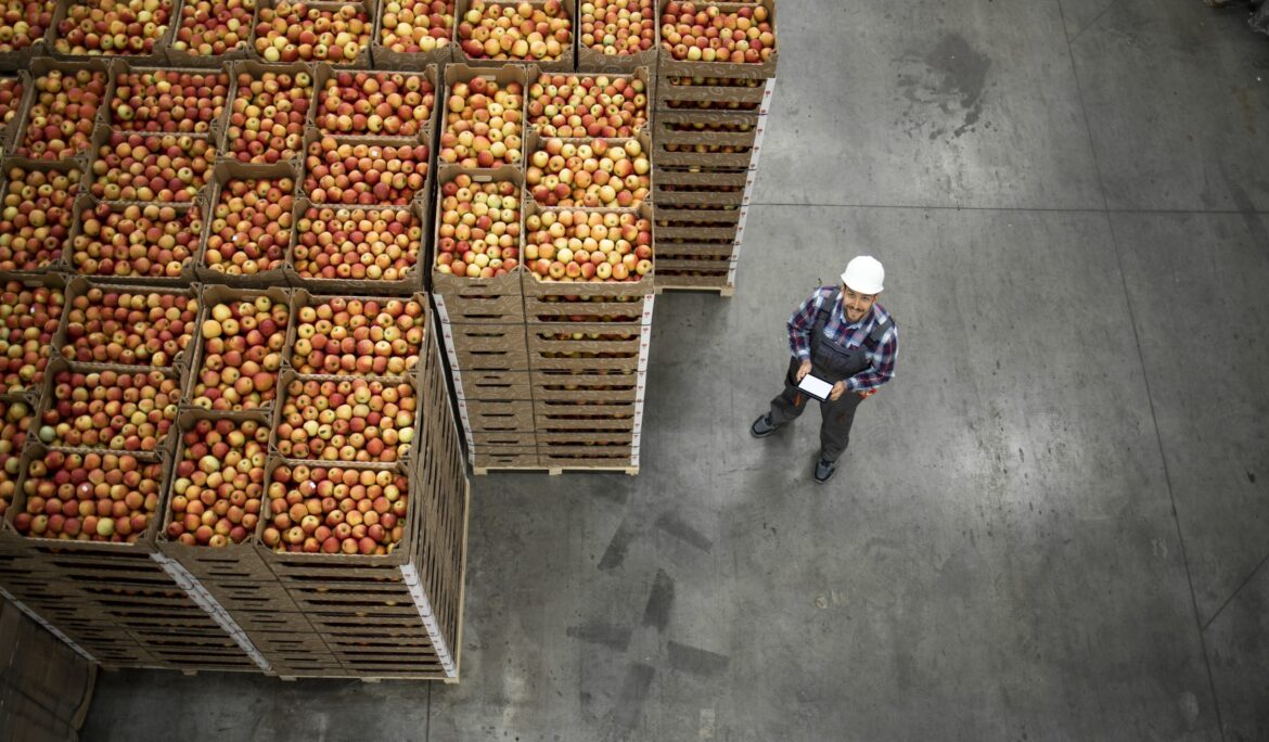 [INFOGRAPHIC]: Where is the Supply Chain Risk?