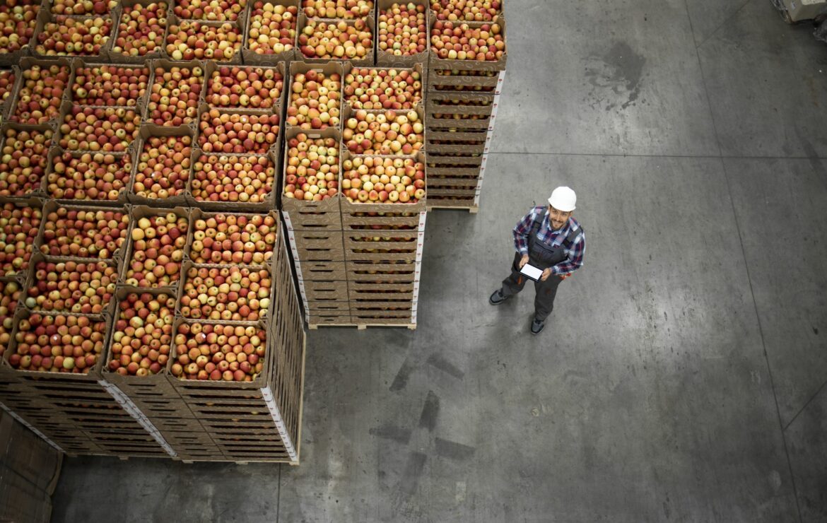 [INFOGRAPHIC]: Where is the Supply Chain Risk?