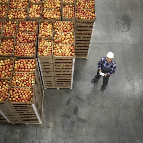 [INFOGRAPHIC]: Where is the Supply Chain Risk?