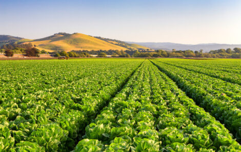 What the Ag Industry Can Learn from the Colonial Pipeline Hack
