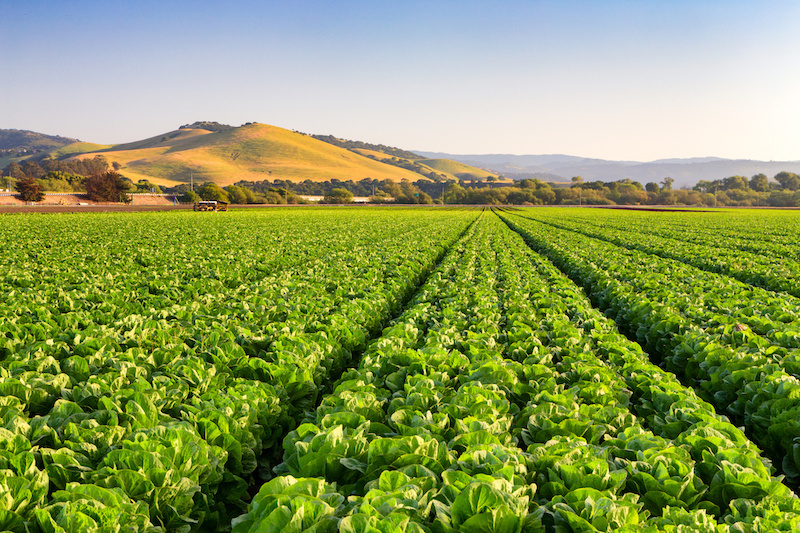 What the Ag Industry Can Learn from the Colonial Pipeline Hack