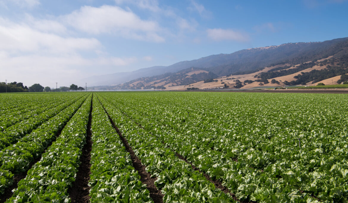 How the White House Open Letter on Ransomware Could Impact the Ag Industry