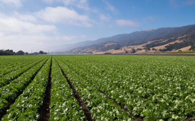 How the White House Open Letter on Ransomware Could Impact the Ag Industry