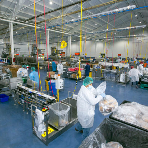 Guest Post: Why MSPs Like ZAG Matter in the Food Supply Chain