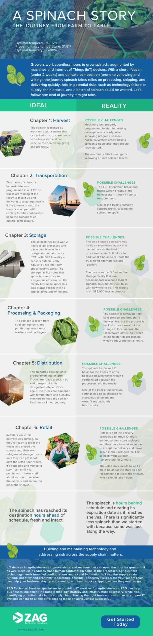Infographic highlighting the journey that spinach takes in the supply chain