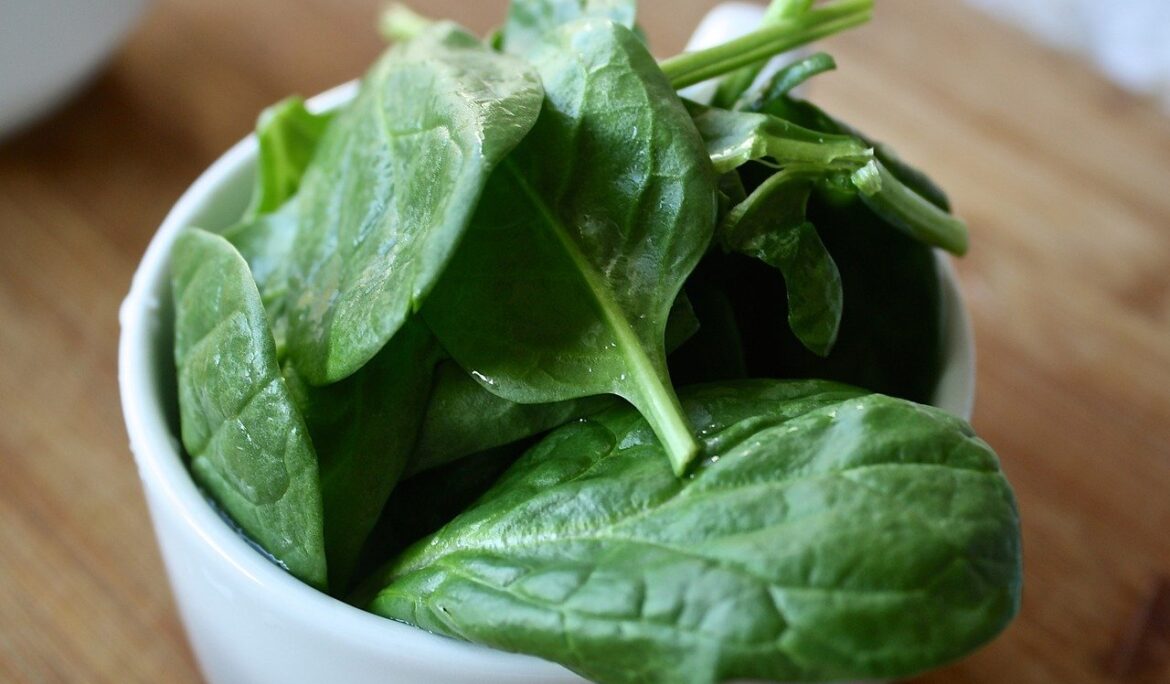 A Spinach Story: How the Supply Chain Affects its Journey from Farm to Table