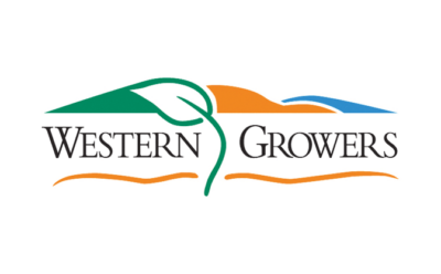 Western Grower & Shipper: 6 Ways to Strengthen the Supply Chain