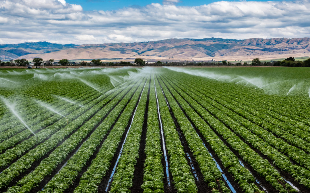 The Value of Microsoft Azure + Azure Virtual Desktop for Agribusinesses