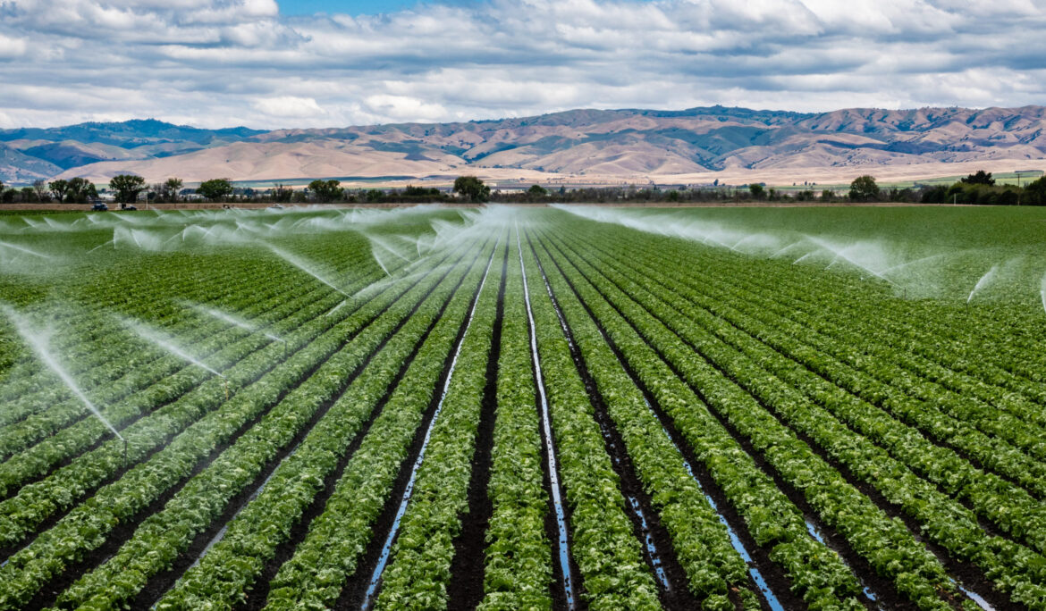 The Value of Microsoft Azure + Azure Virtual Desktop for Agribusinesses