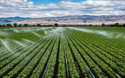 The Value of Microsoft Azure + Azure Virtual Desktop for Agribusinesses