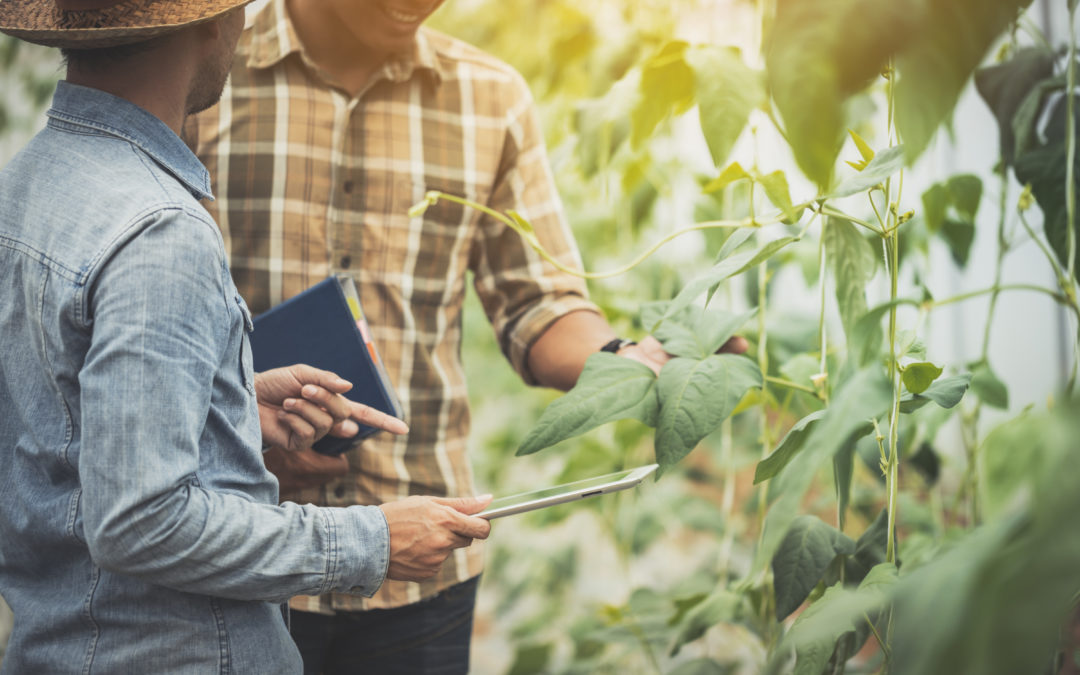 Ag Co-ops: 5 Steps to Take to Boost Cybersecurity Protection