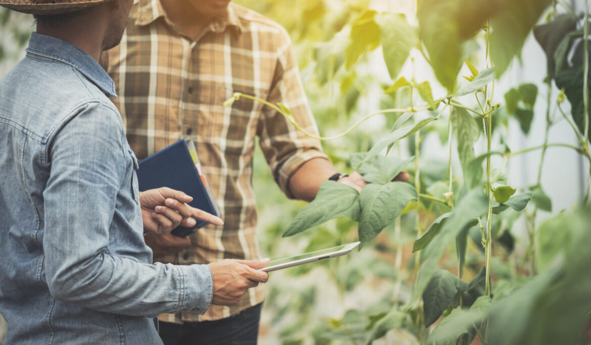 Ag Co-ops: 5 Steps to Take to Boost Cybersecurity Protection