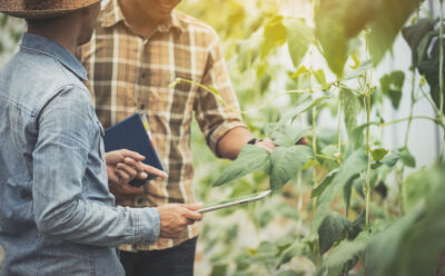 Ag Co-ops: 5 Steps to Take to Boost Cybersecurity Protection