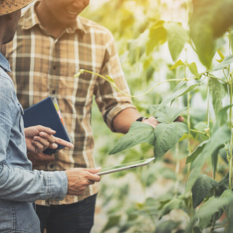 Ag Co-ops: 5 Steps to Take to Boost Cybersecurity Protection