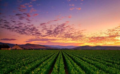 PSA: FBI Warns of Ransomware Attacks on Ag Timed to Critical Season