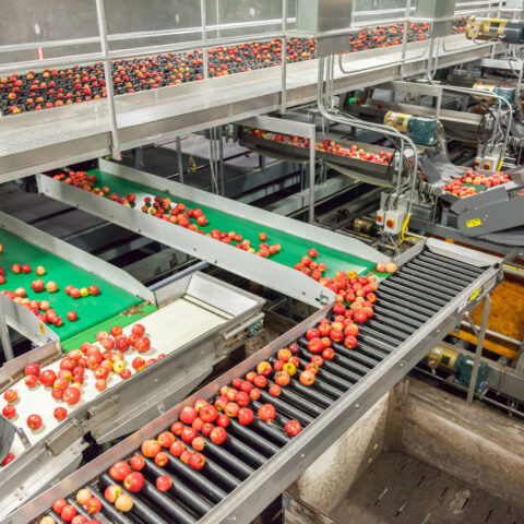 Factory Automation + How it Impacts Business