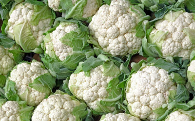 Grower Shipper Packer