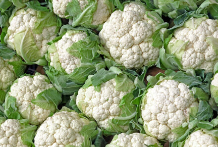 Grower Shipper Packer