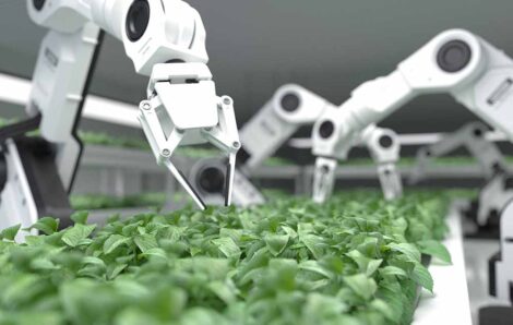 The Ag Industry is Leveraging a New Commodity