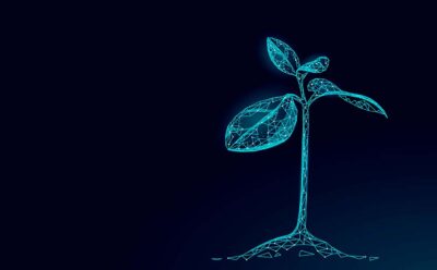 How Uniting Farmers and AgTech Innovators Builds Success
