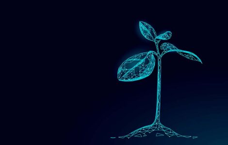 How Uniting Farmers and AgTech Innovators Builds Success
