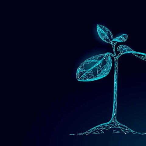How Uniting Farmers and AgTech Innovators Builds Success