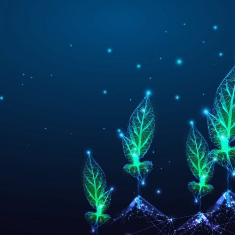 Accelerating Climate-Smart Agtech 