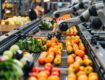 Why Agriculture Manufacturing Needs to Start Mining… Data